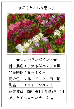 花と文字 (1)