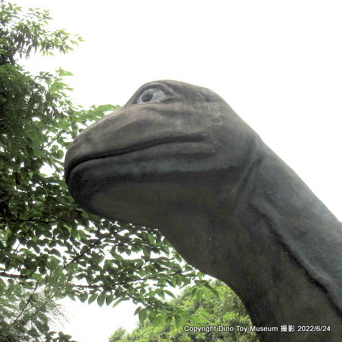 手賀の丘公園　ケティオサウルスの危機！