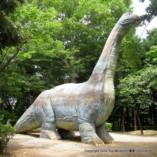 手賀の丘公園　ケティオサウルスの危機！