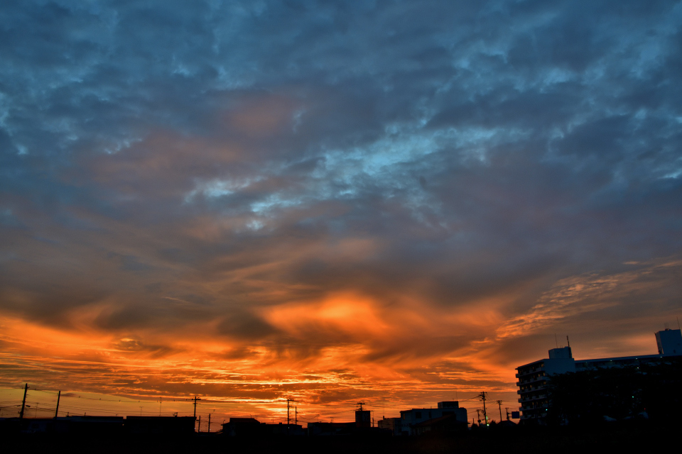 R3C_3037_i.jpg