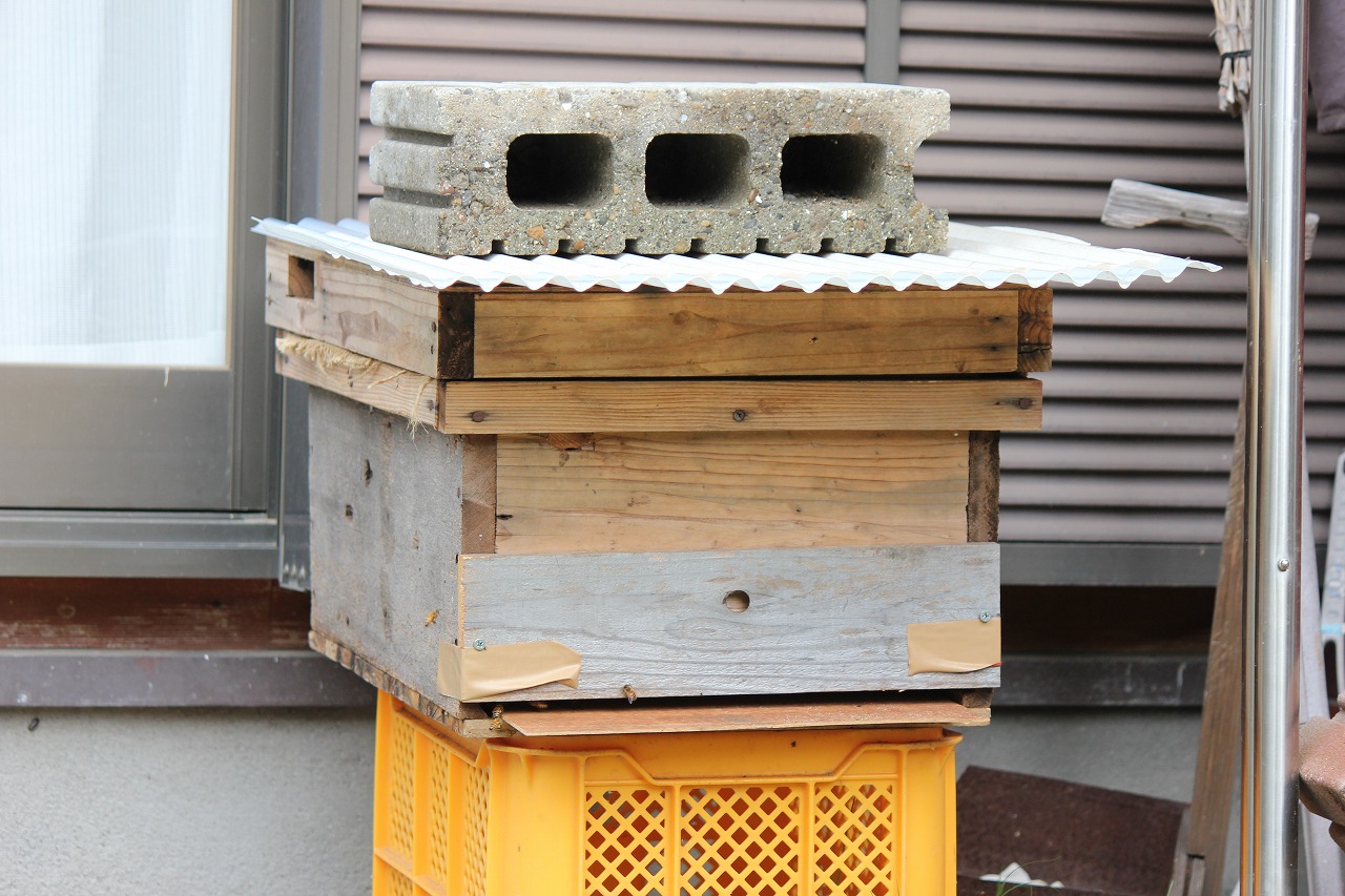 洋蜂の巣箱