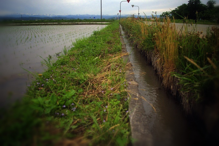 田んぼを潤す水の道
