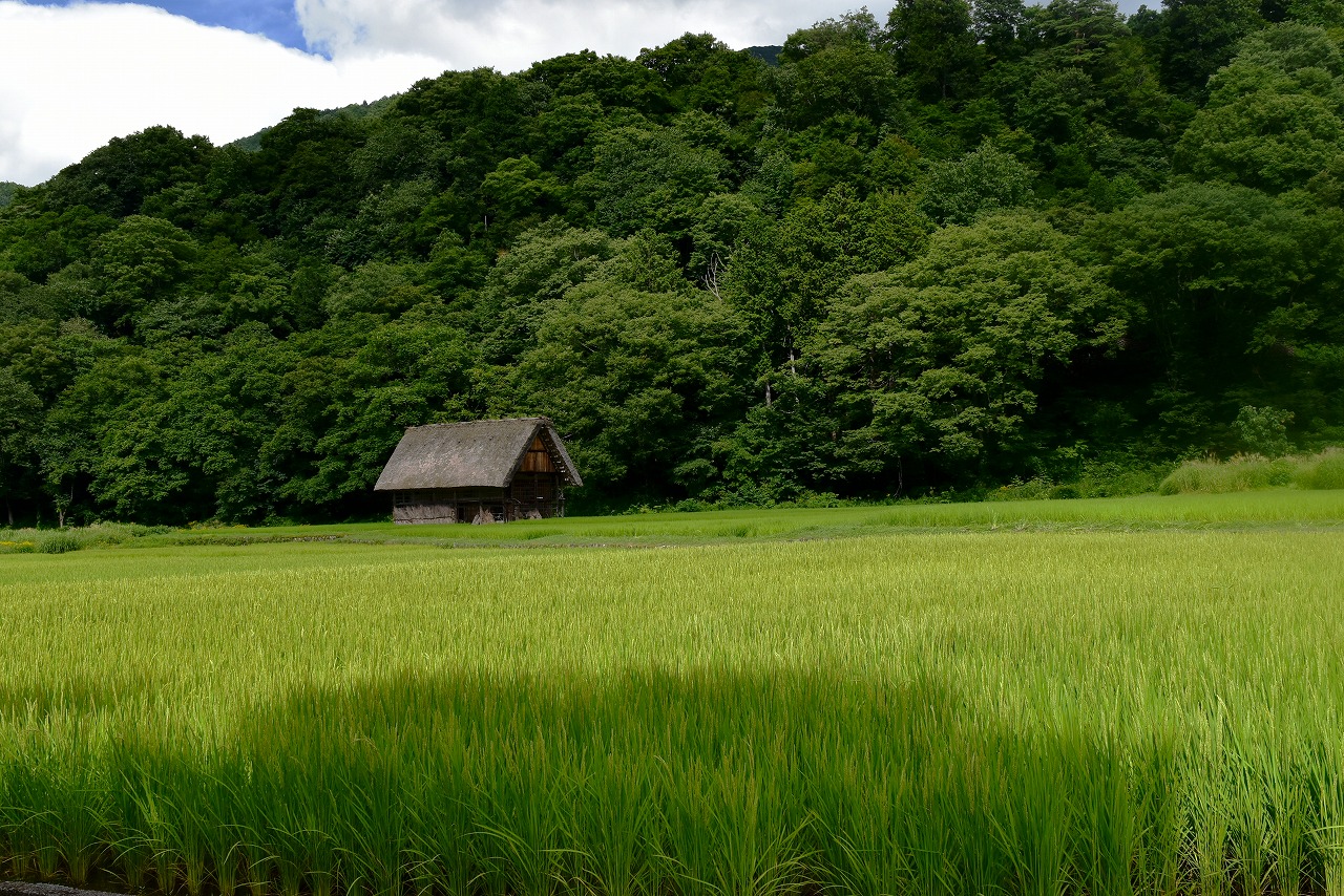 AAA_0293.jpg
