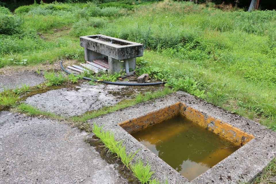 廃校跡のプールサイドにあった洗眼器と消毒槽
