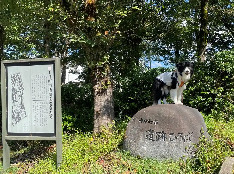 十日町市遺跡広場の石碑に立つDawn太