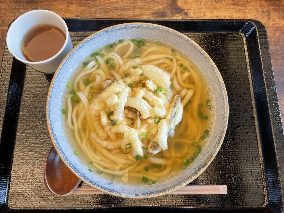 新玉ねぎといりこかき揚げうどん