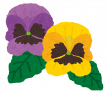 flower_pansy_20210604131508b3f.png